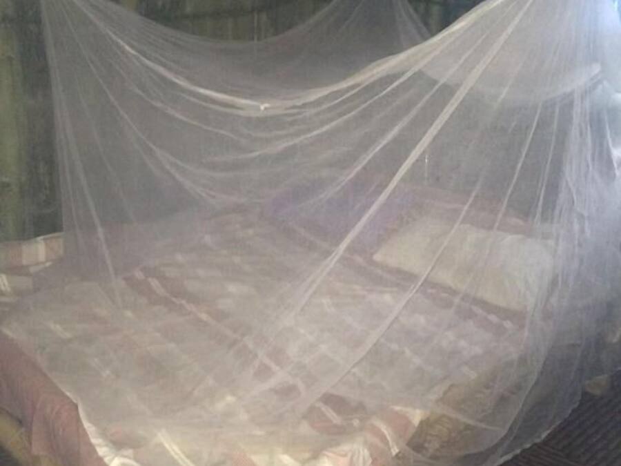 A bed with a mosquito net.