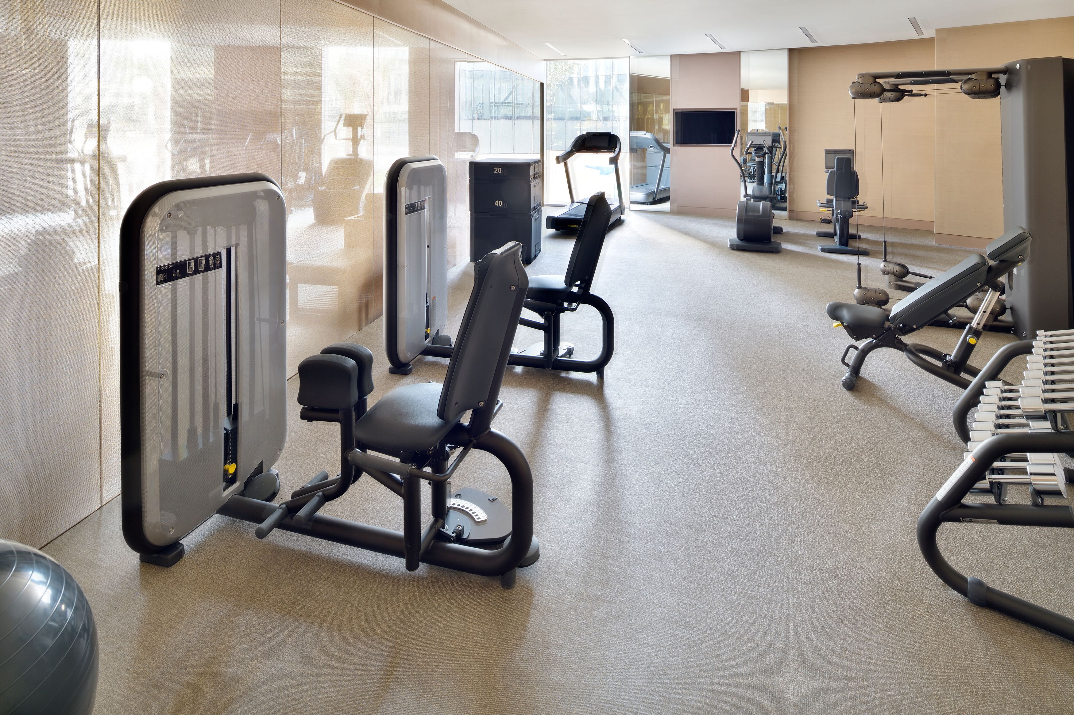 A gym with various exercise equipment, including treadmills, weight machines, and free weights.