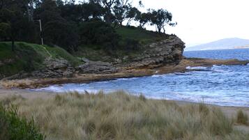 Playa en los alrededores y camastros