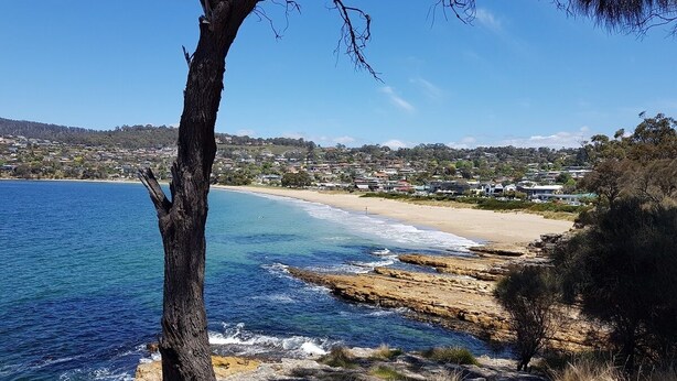 Un paisaje costero con una playa, costa rocosa y un árbol en primer plano.