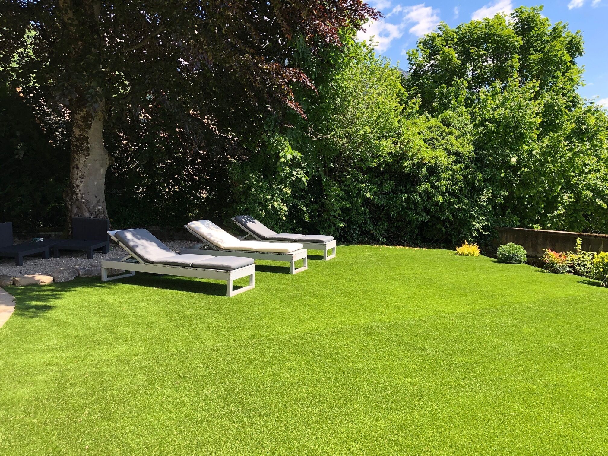 A well-maintained lawn with three sun loungers and a large tree providing shade.