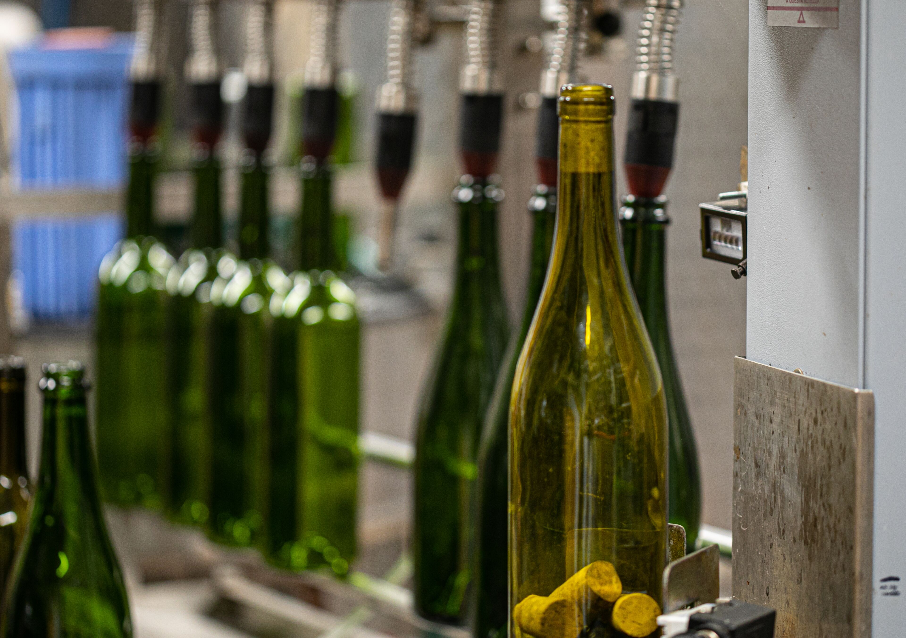 A row of green wine bottles on a shelf.