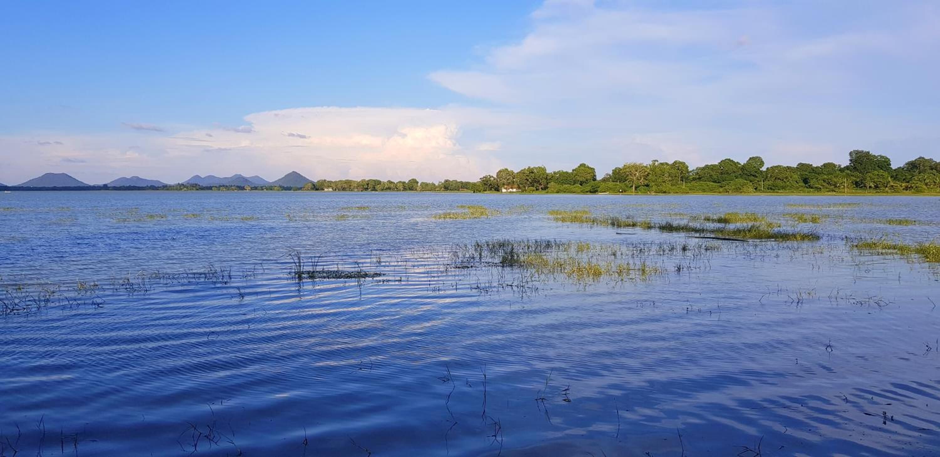 A calm lake with a clear sky, surrounded by trees and distant mountains.