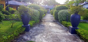 Taman