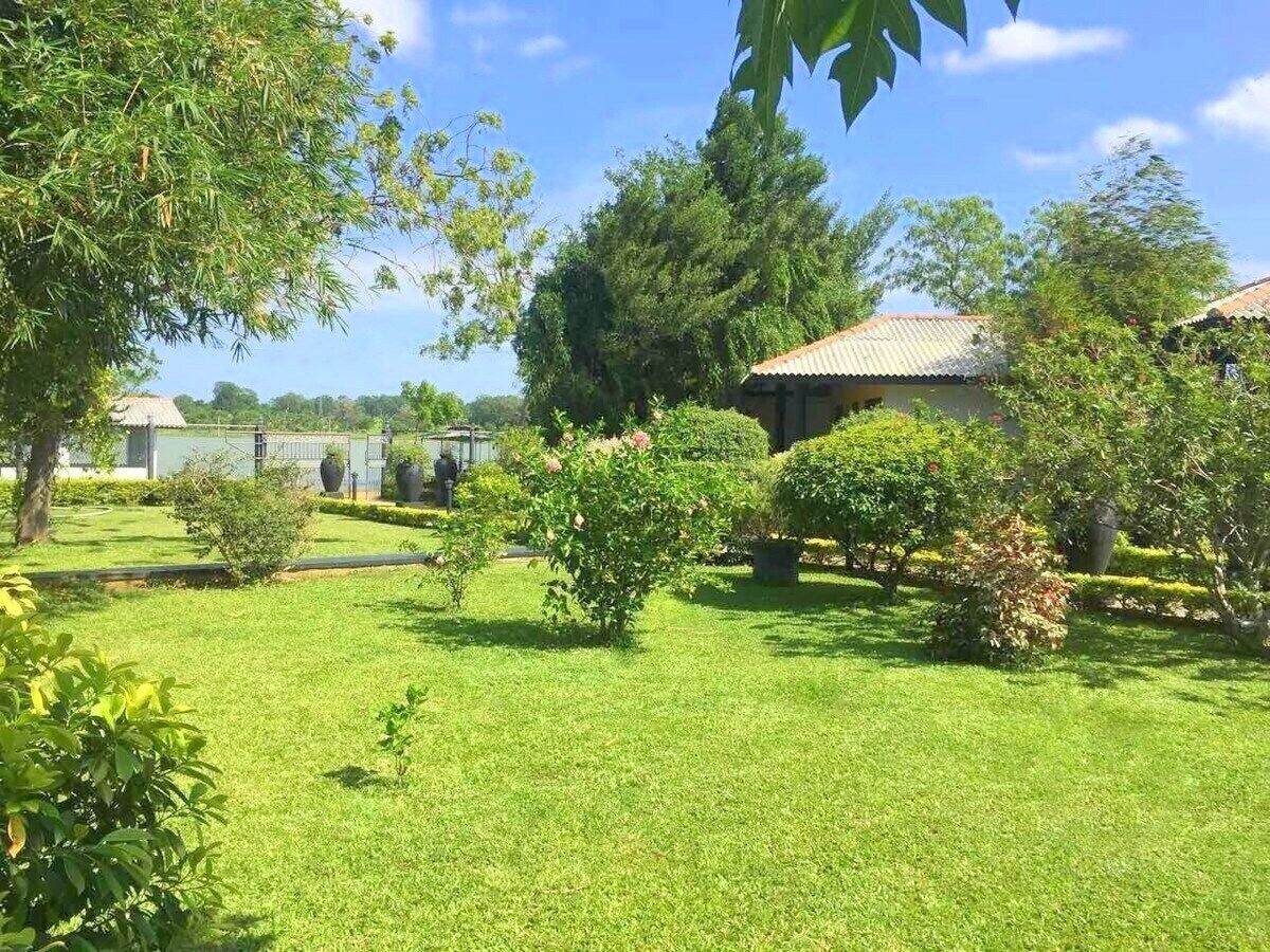 Vista desde la habitación