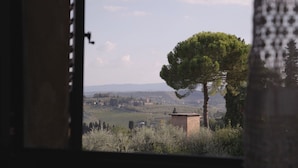 A view through a window with a tree and distant buildings.