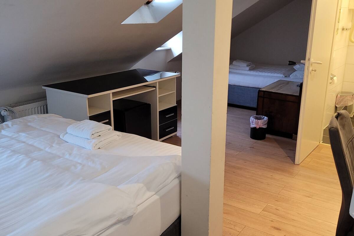 Een slaapkamer met een bed, een bureau en een kleine kitchenette.