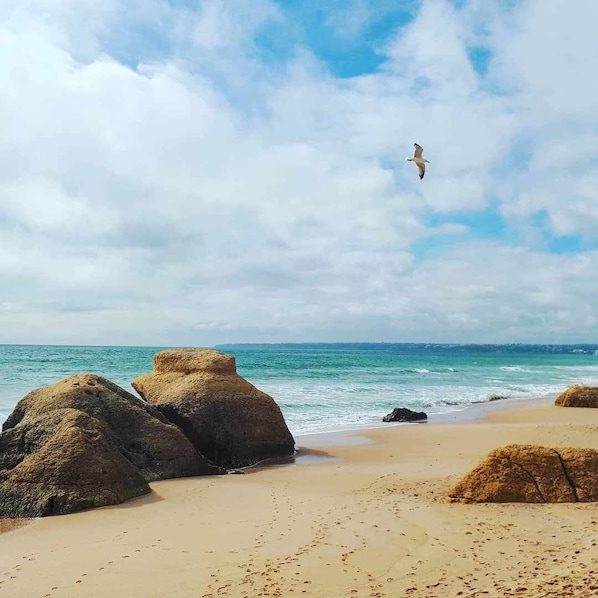 Plage
