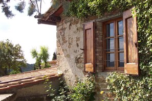 Detalle del exterior