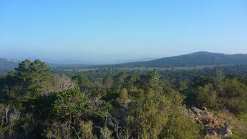 Un paysage naturel caractérisé par une végétation luxuriante et des collines qui s’étendent à l’horizon.