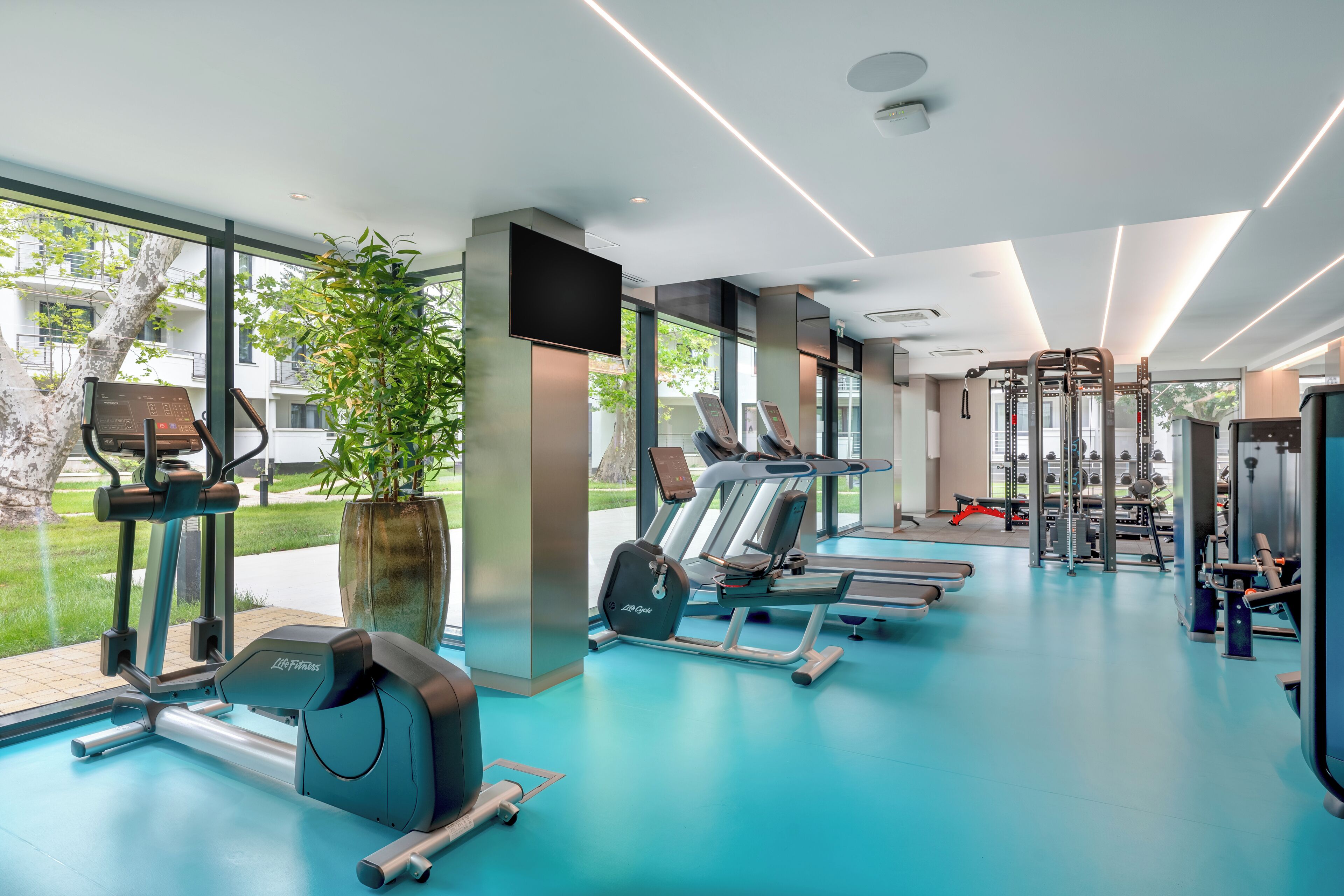 A modern gym with cardio machines, weightlifting equipment, and large windows offering views of the outdoors.