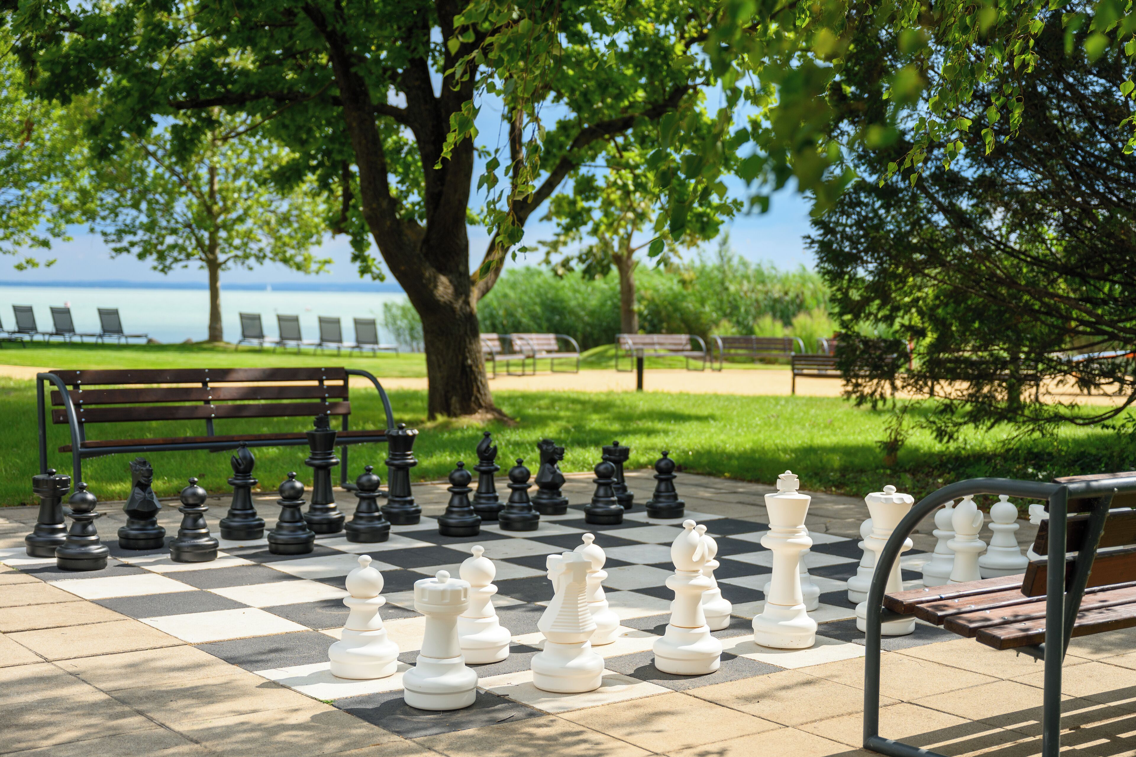 A chessboard set up outdoors with a bench and trees in the background.