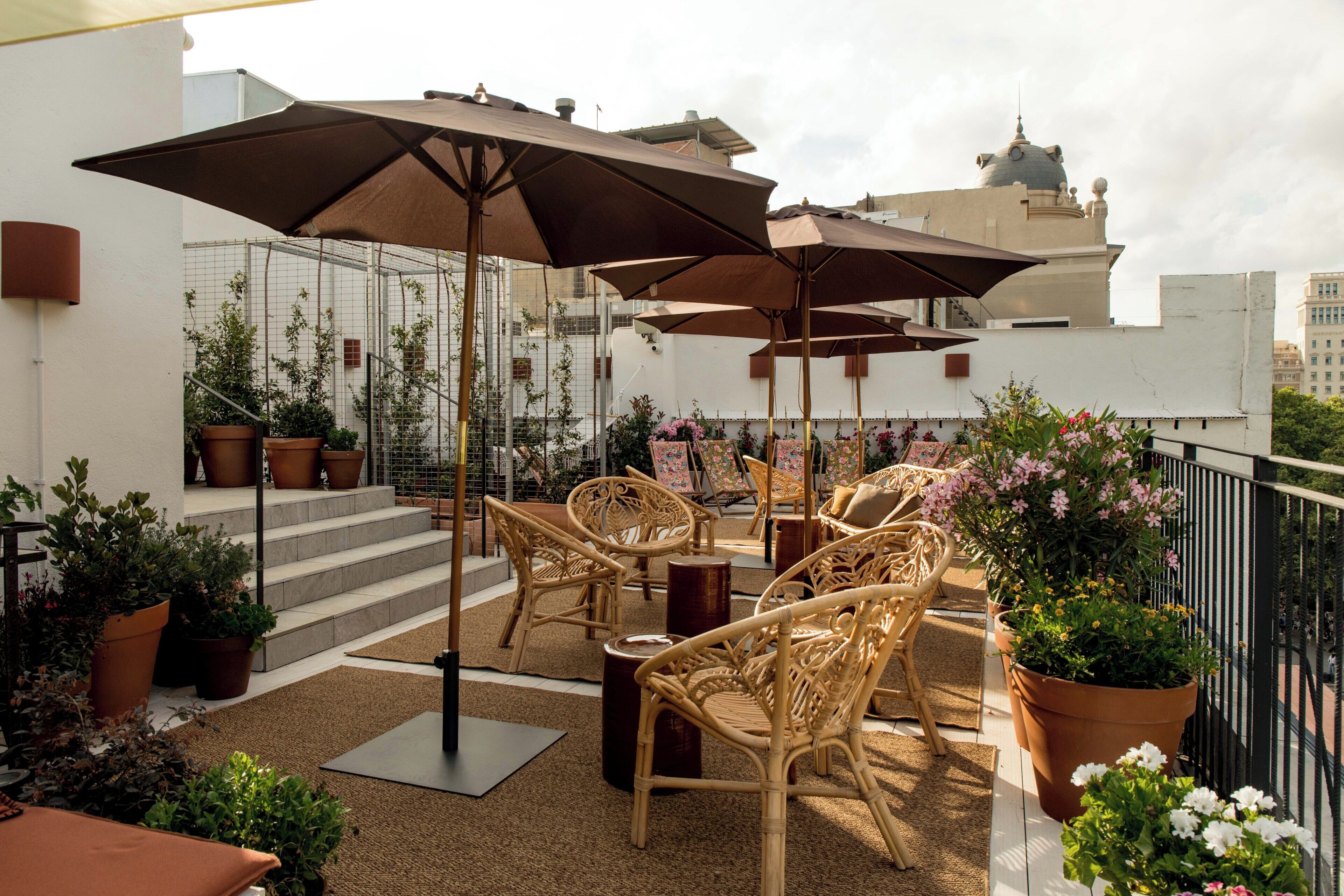 Terraza o patio