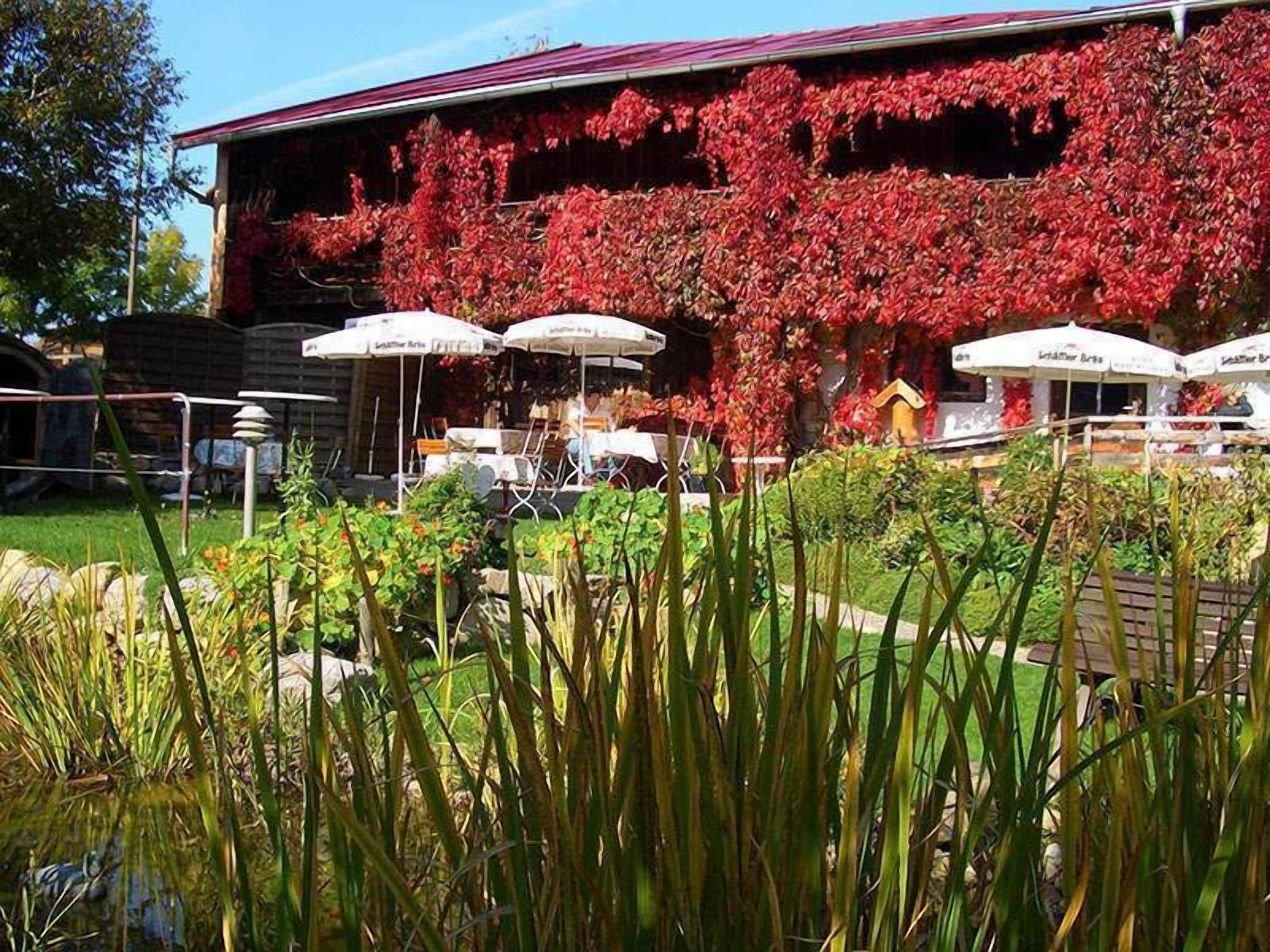 A building with red foliage covering the exterior walls, outdoor seating with umbrellas, and a garden area with tall grasses.
