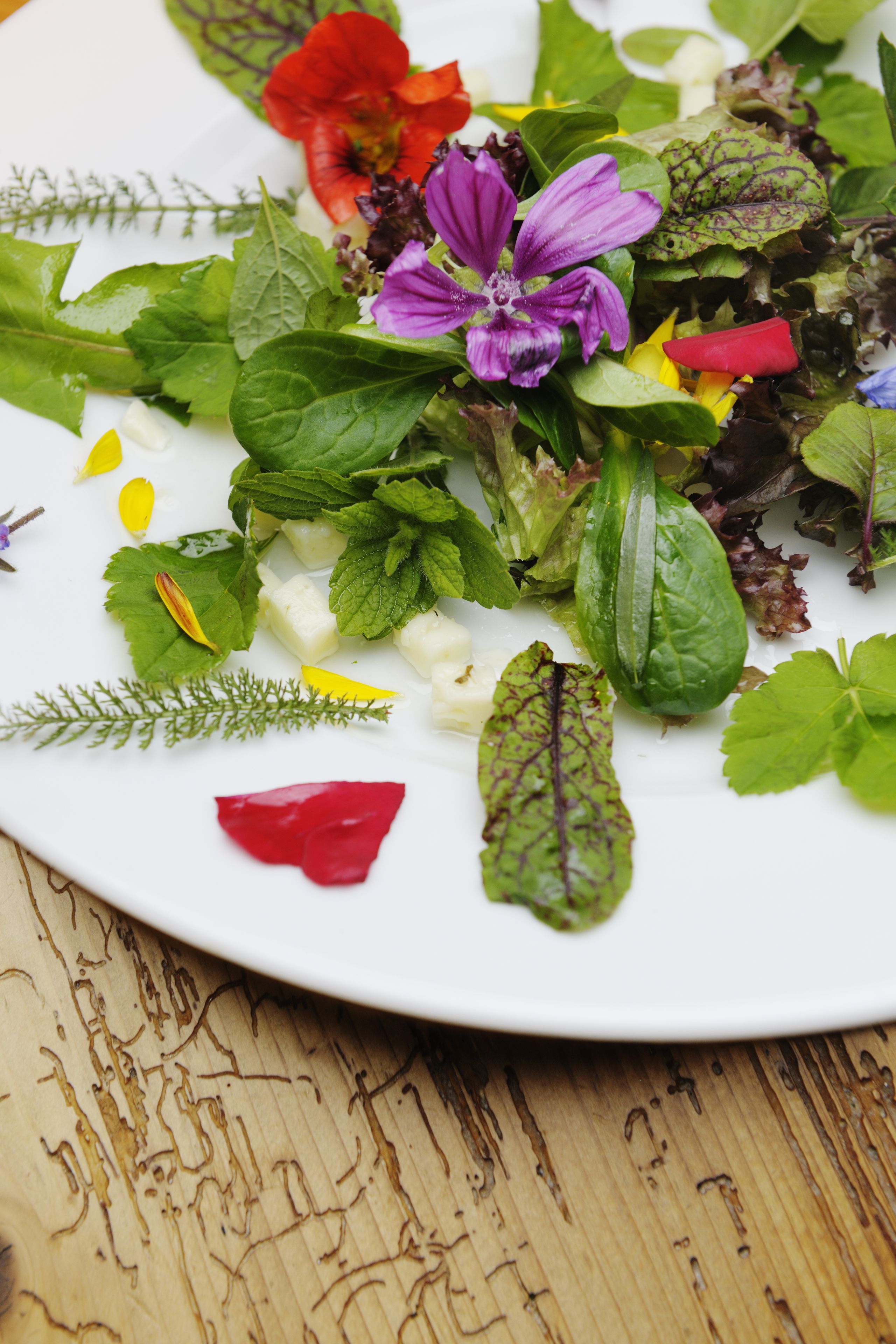 A white plate with a variety of fresh vegetables and herbs.