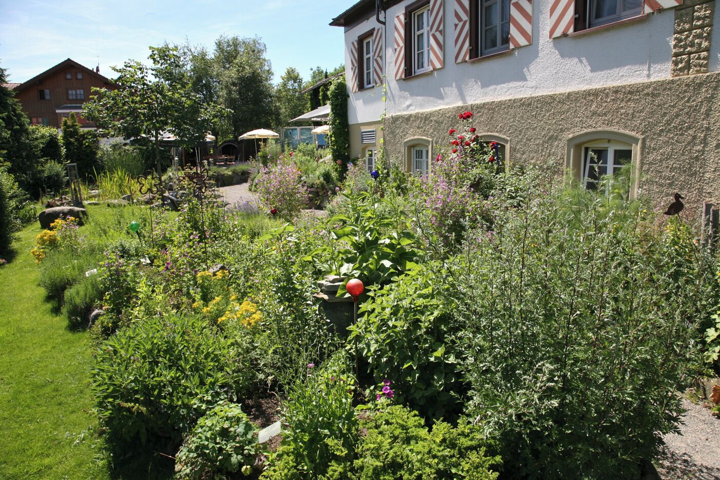 Een tuin met diverse planten en bloemen, een stenen gebouw met ramen en een rood-wit gestreepte luifel.