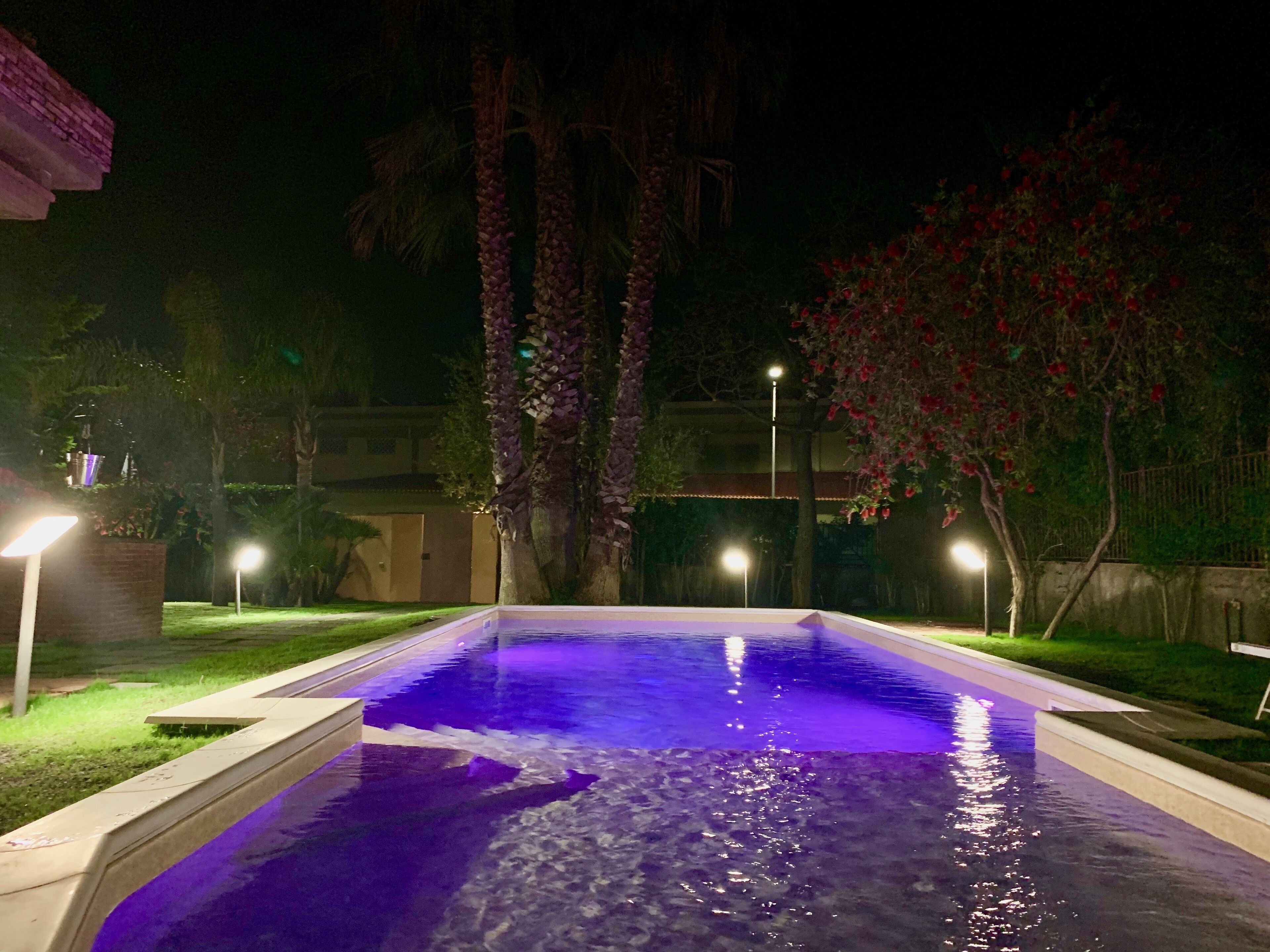 Una piscina iluminada con luces moradas durante la noche, rodeada de árboles y una valla bien iluminada.