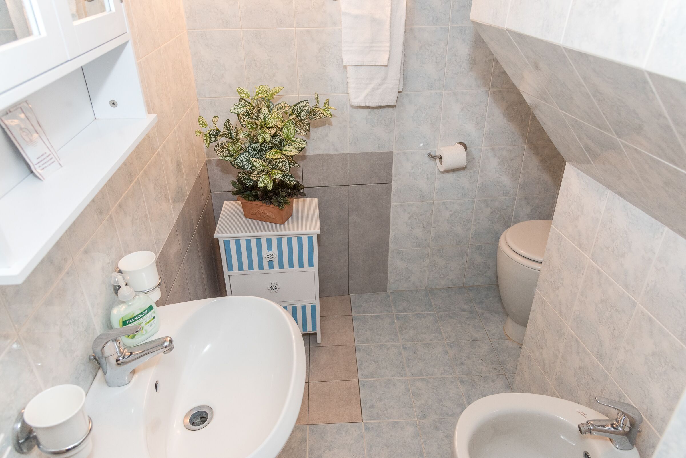 Een badkamer met een witte wastafel, een toilet, een hygiëneschuimer en een kleine plant op een plank.