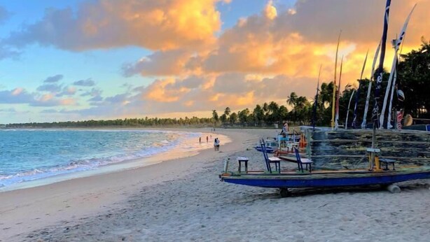 Una playa con barcos varados en la arena, cielo despejado y palmeras al fondo.