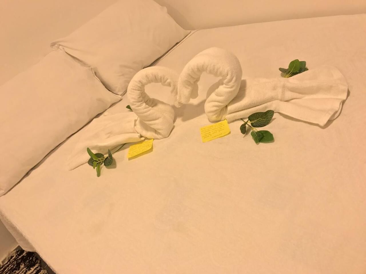 Foto - Pousada Coco Beach