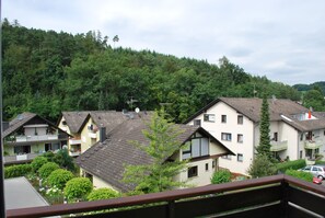 Vista desde la propiedad