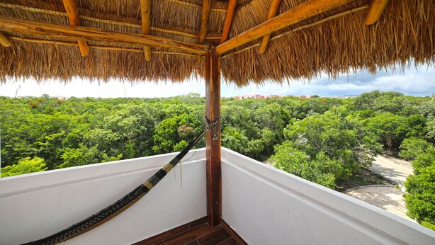 Unclassified image, 1 of 27, button - IK Zama 07 (Tulum)