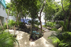 Property grounds - IK Zama 10 (Tulum)