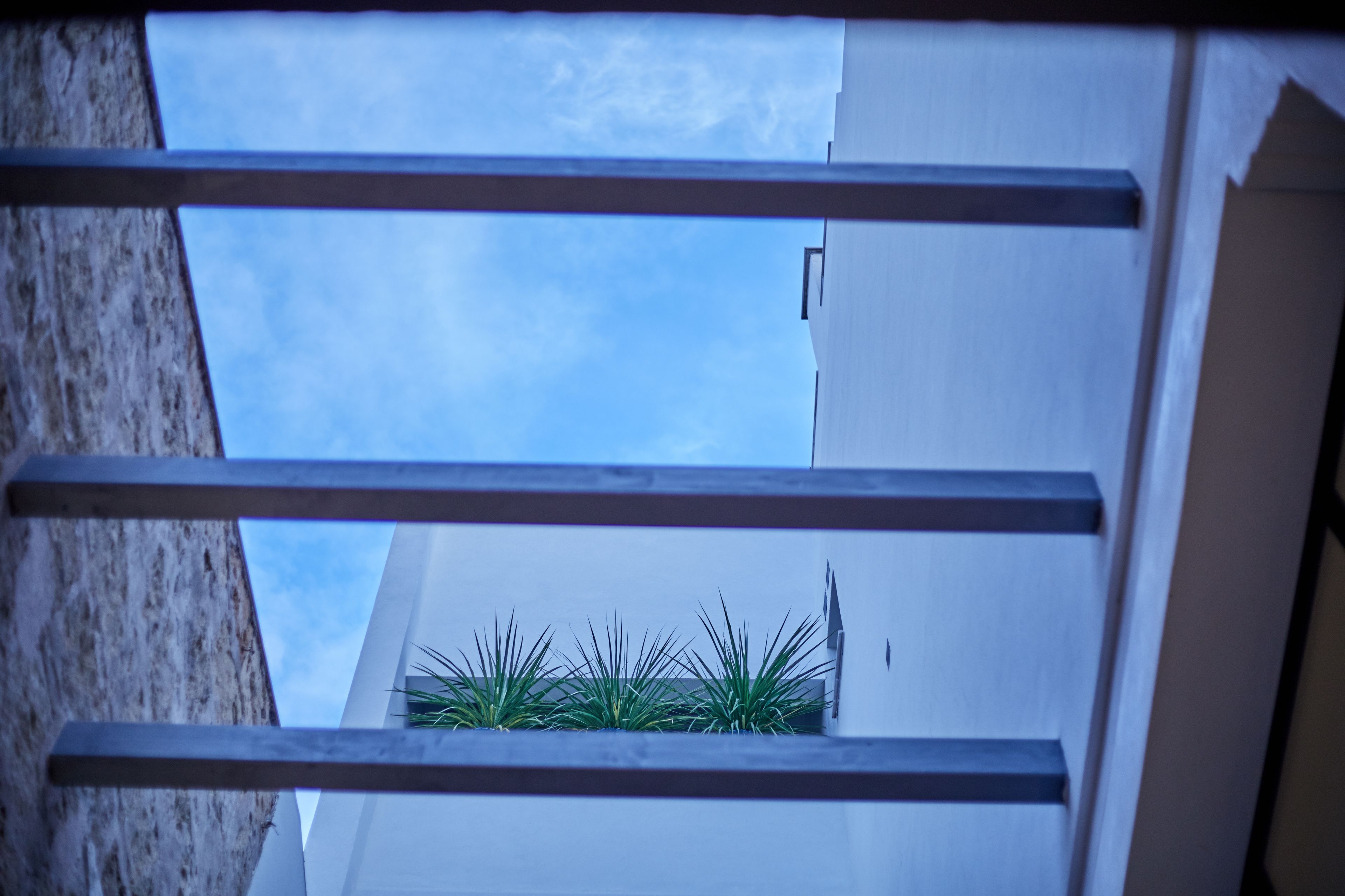 A view through a window with metal bars, a clear sky, and a building with a white facade and a small green plant area.
