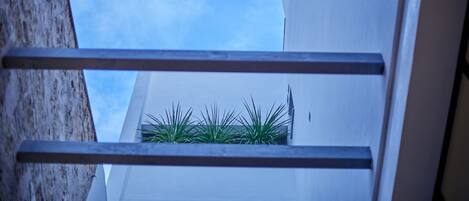 A view through a window with metal bars, a clear sky, and a building with a white facade and a small green plant area.