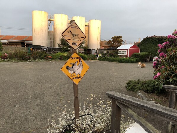 A rural road with two warning signs indicating crossing animals: a fox and chickens. - Country Inn Bed and Breakfast (Fort Bragg)