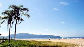 A beach with palm trees and a distant mountain.