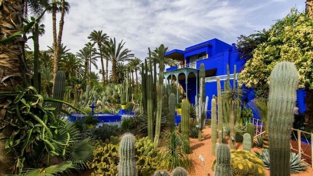A cactus garden with a blue building in the background. - Elegant Gueliz Retreat near Majorelle (Marrakech)
