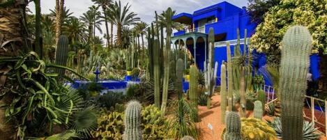 Áreas de la propiedad