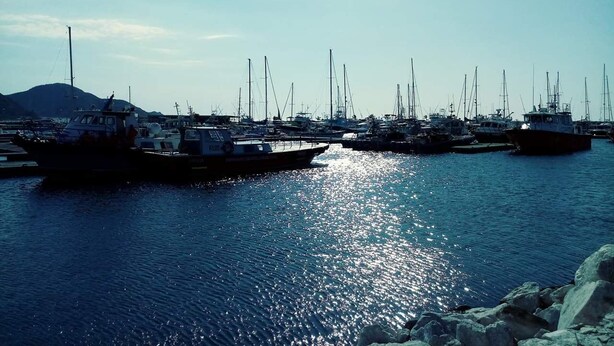 Un port de plaisance où plusieurs bateaux sont amarrés.