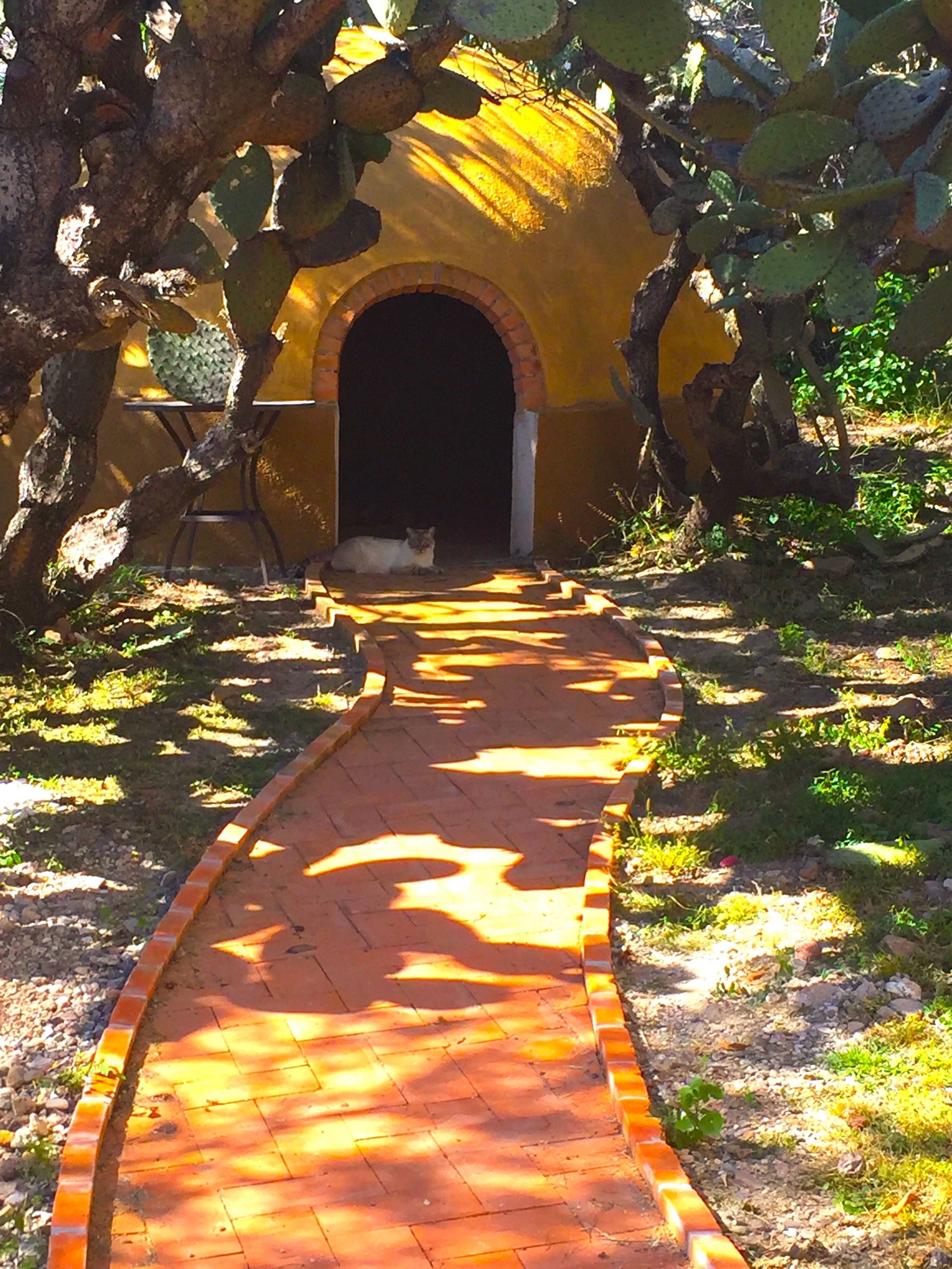 Deep-tissue massages, massages