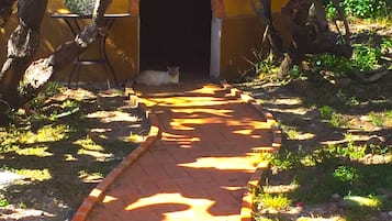 Deep-tissue massages, massages