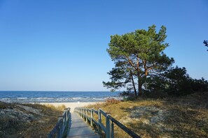 A wooden pathway leading to a beach with a clear view of the ocean and a lone pine tree. - Kaisers vis �� vis, apartment 5 - Kaisers vis à vis (Heringsdorf)