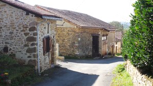 A narrow street with stone buildings, a paved road, and greenery.