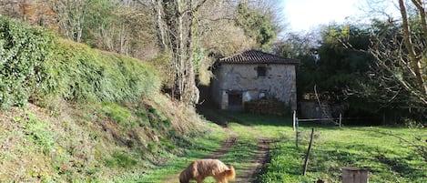 Esterni