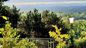 Une vue sur un paysage montagneux, avec de vastes forêts et un ciel dégagé.