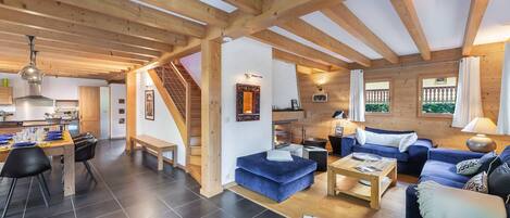 TV, fireplace, books