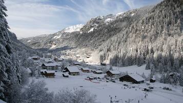 Lumi- ja hiihtourheilulajit