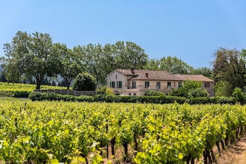 Charming gite, heated pool, in a winegrowing estate 30 minutes from the sea.