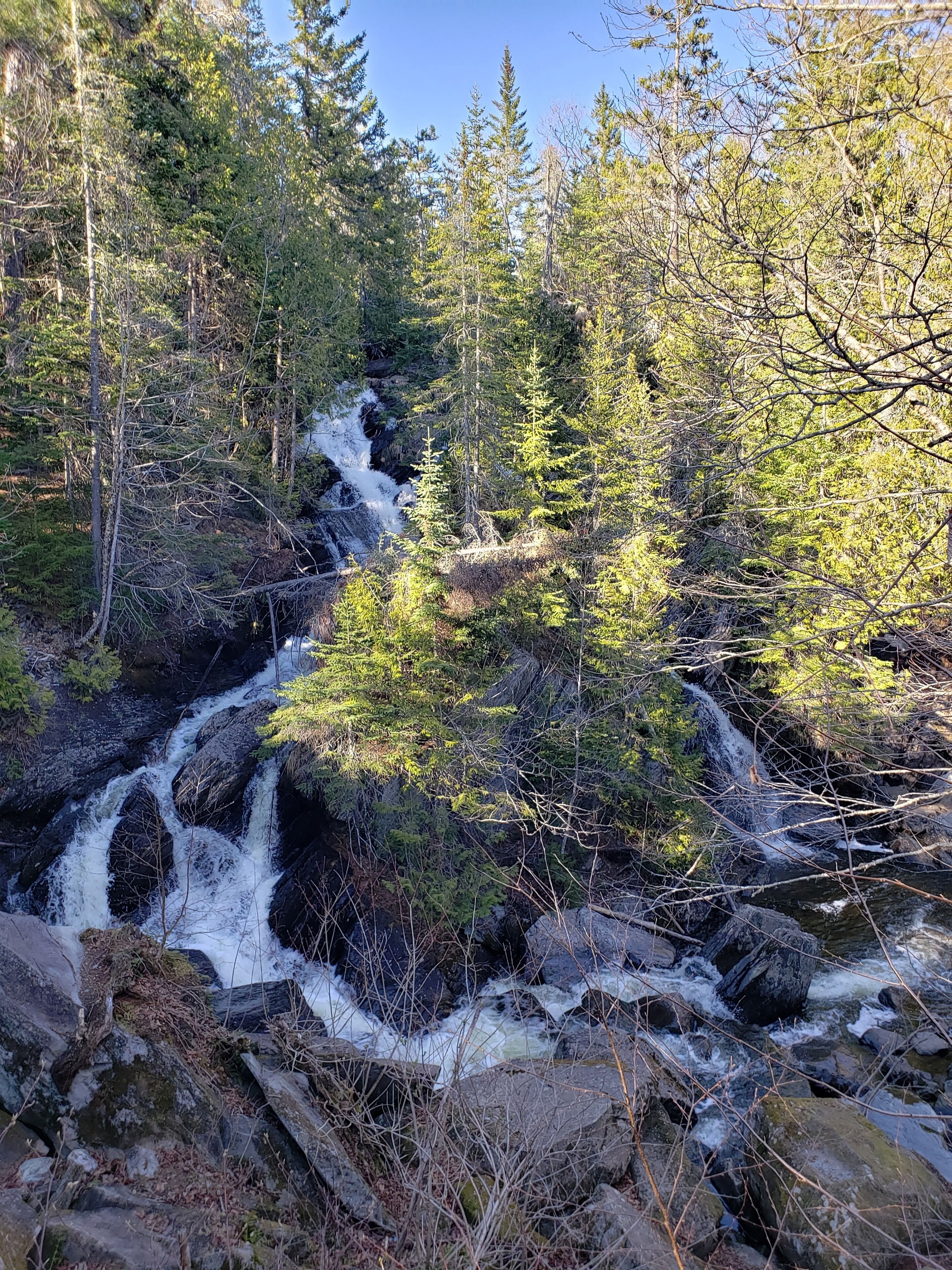 Une cascade naturelle entourée d’une forêt dense.