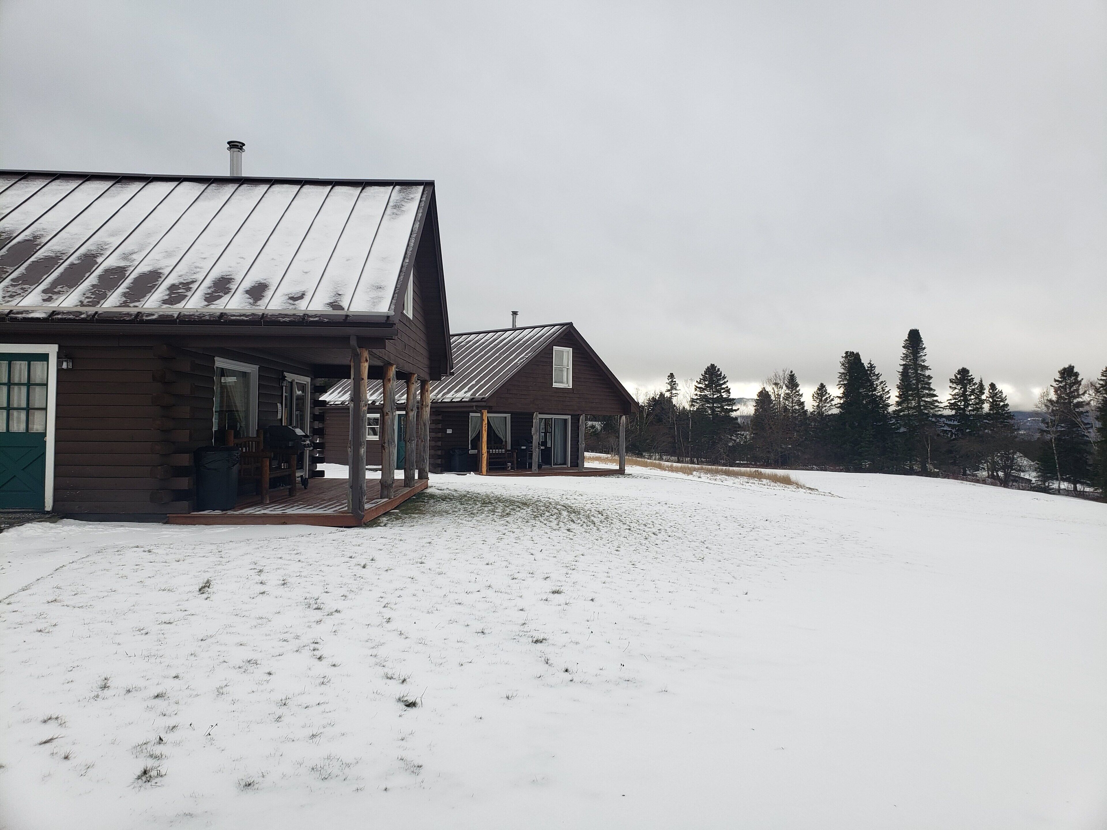 A log cabin with a metal roof and a porch, surrounded by snow-covered ground and trees.