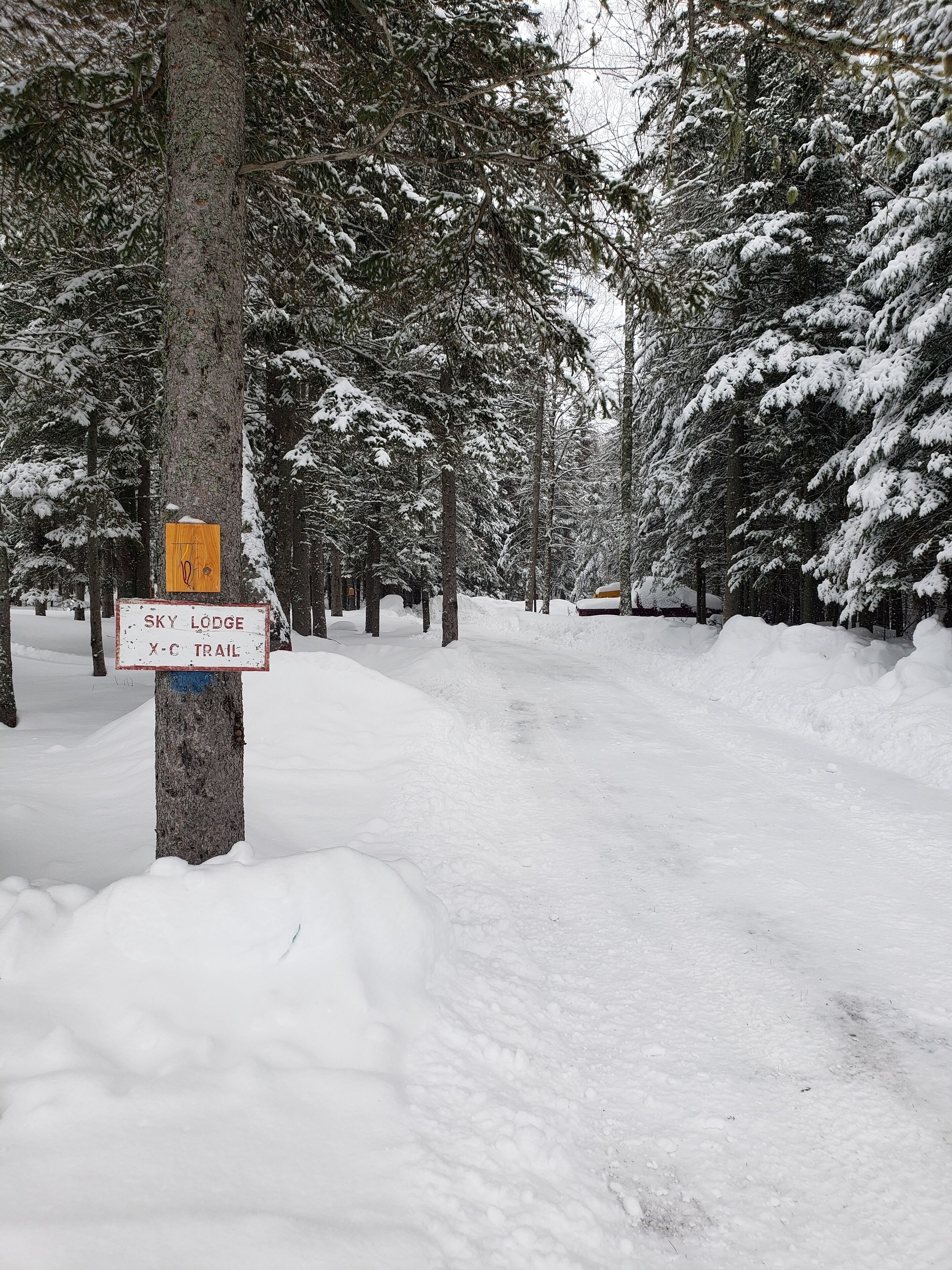 A snowy forest trail with a sign for Sky Lodge and the X-C Trail.