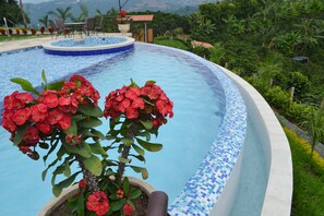 Outdoor pool - Ecolodge Altos de la Ermita (Palestina)