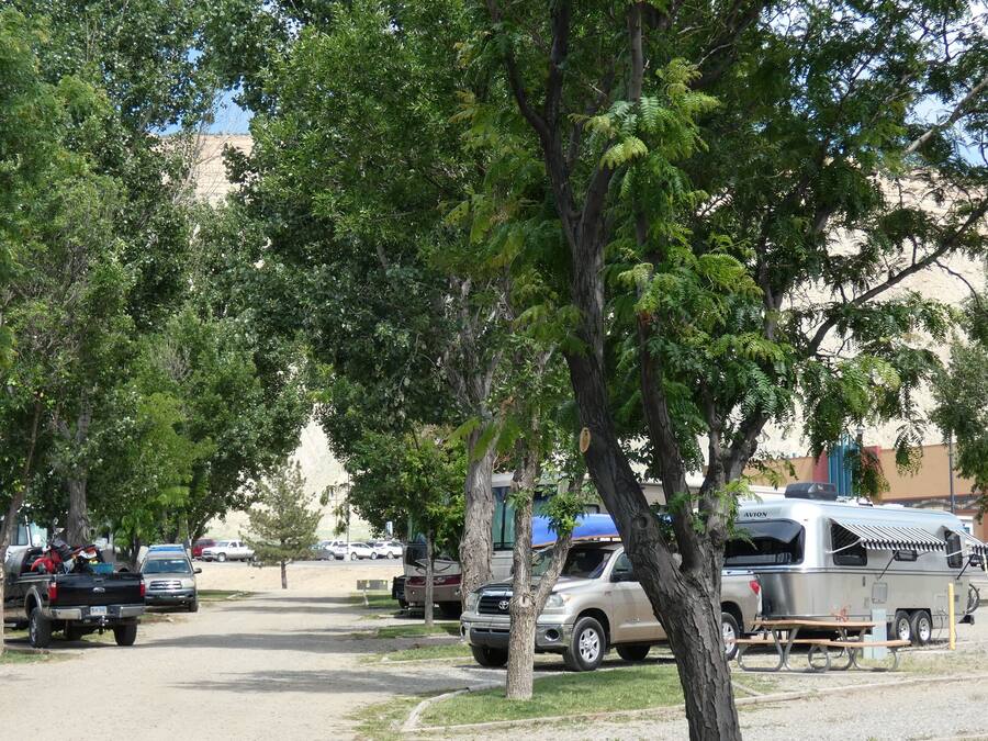 Un camping con vehículos recreativos y tiendas de campaña, mesas de picnic y árboles.
