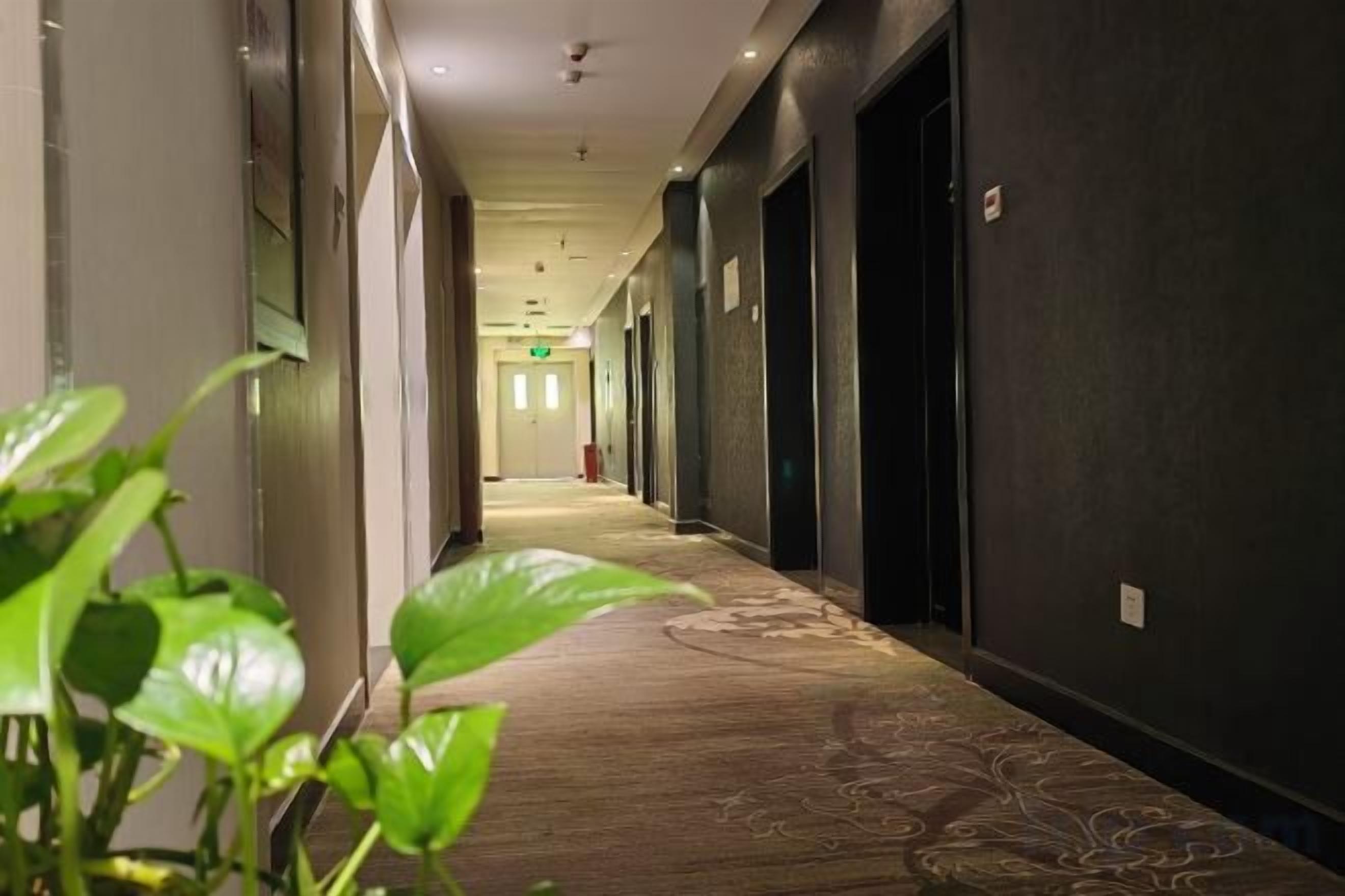 Un pasillo de hotel con piso alfombrado, puertas a ambos lados y una planta en primer plano.