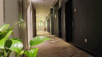 Un pasillo de hotel con piso alfombrado, puertas a ambos lados y una planta en primer plano.